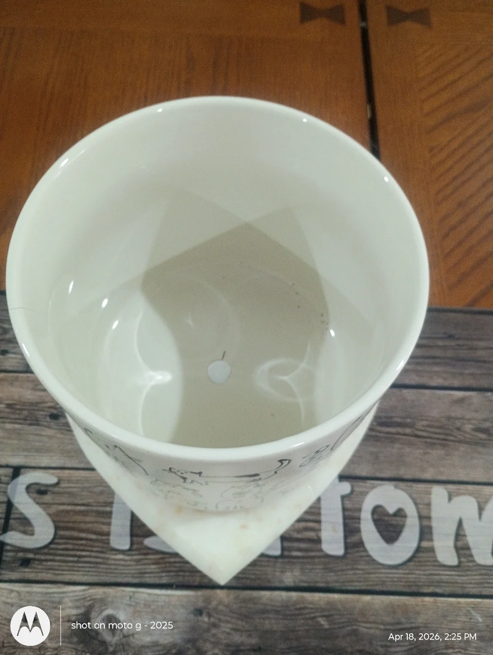 Cat planter All Over Print - Picture 2 of 10